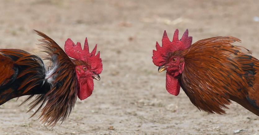 Immagine per la news Mindfulness, il segreto per gestire gli effetti dello stress e dell’ansia