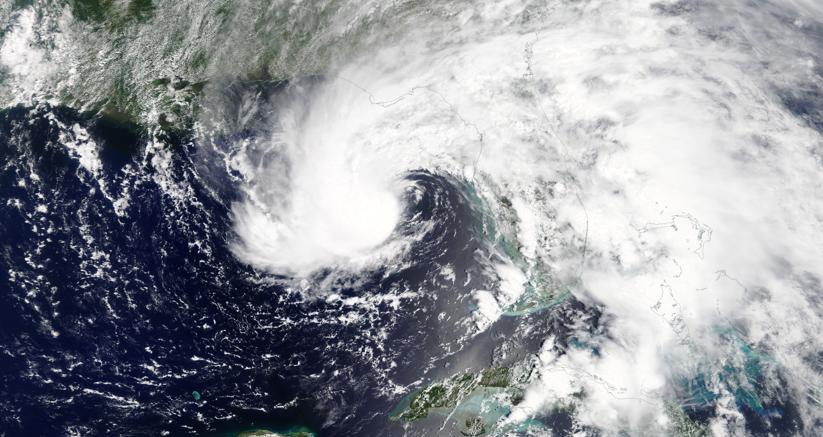 Immagine per la news Le idee sono preziose, ma troppe idee generano un caos ingovernabile