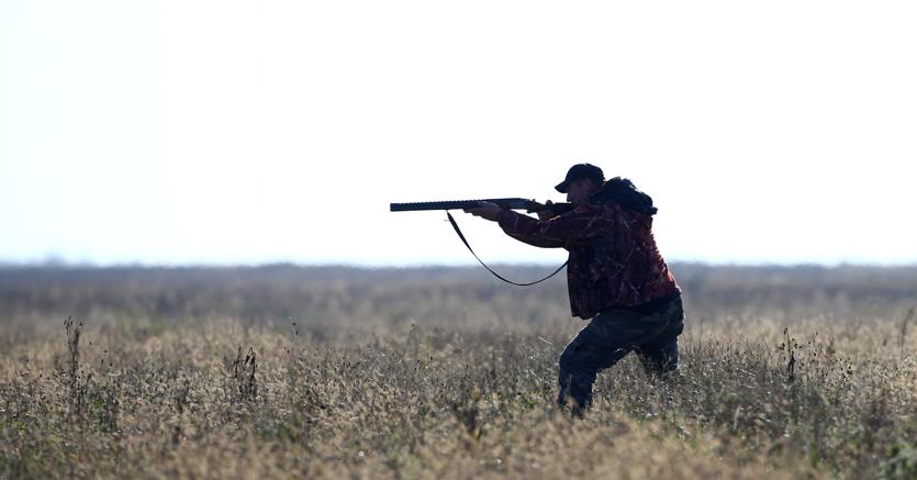 Immagine per la news Caccia ai talenti digitali: l’Italia sulla strada per raggiungere l’Europa