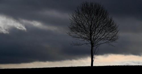 Immagine per la news Dalla resilienza all’elasticità mentale: le 5 competenze per il cambiamento