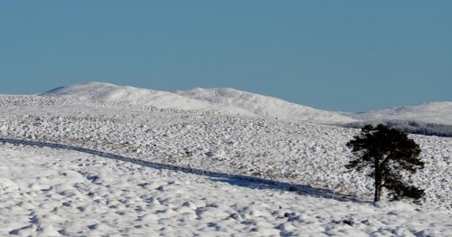 Immagine per la news Essere incompiuti, un’opportunità per la realizzazione del sé